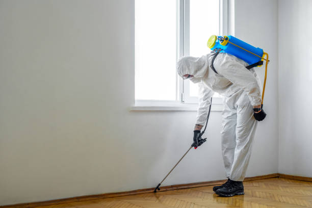 Emergency Pest Control in Ojus, FL